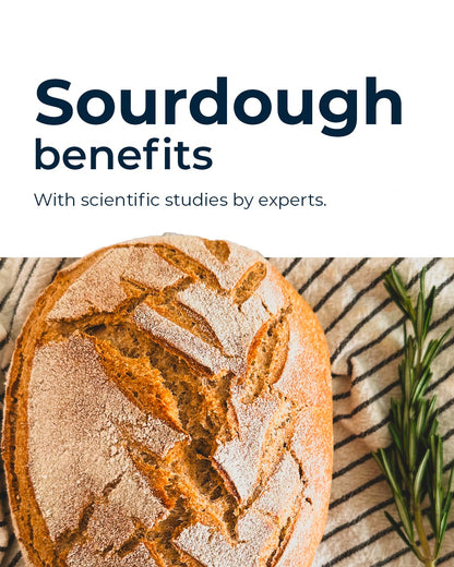 Sourdough Bread