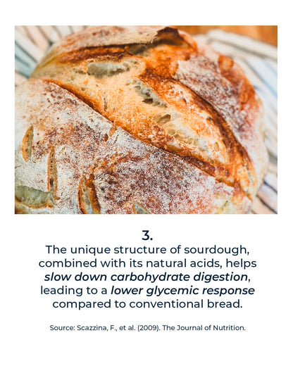 Sourdough Bread