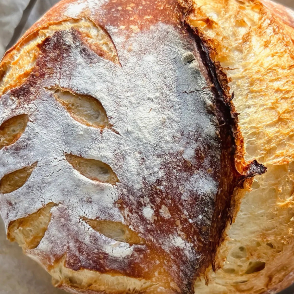 A scored classic sourdough loaf